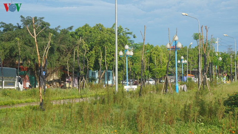 cong trinh chao mung dai hoi dang o lao cai moi khanh thanh da bi lang quen hinh 2