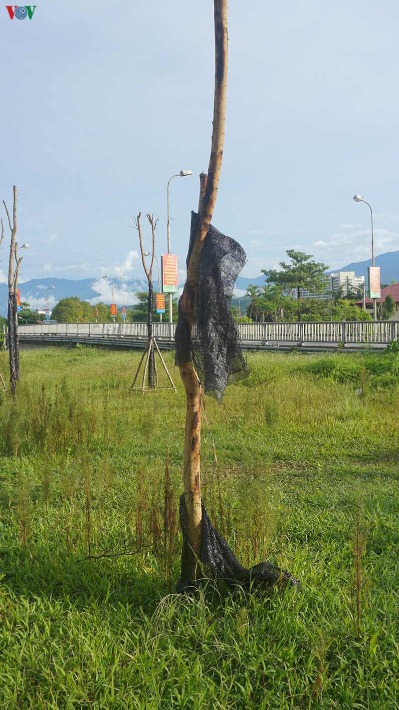 cong trinh chao mung dai hoi dang o lao cai moi khanh thanh da bi lang quen hinh 4