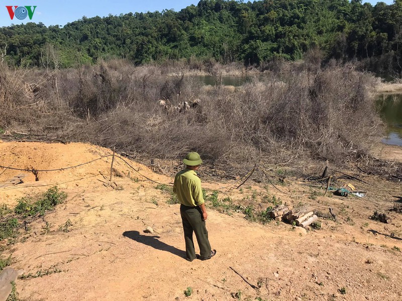 nang nong, nhung canh rung o ha tinh nguy co boc hoa hinh 1