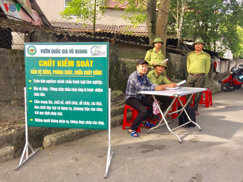nang nong, nhung canh rung o ha tinh nguy co boc hoa hinh 2