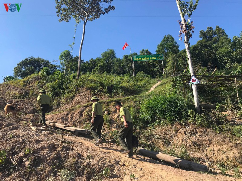 nang nong, nhung canh rung o ha tinh nguy co boc hoa hinh 3