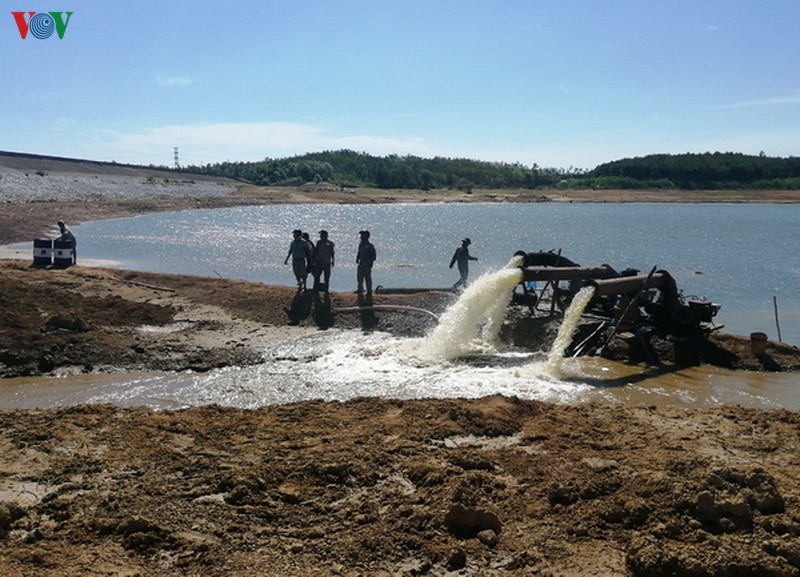 nang nong anh huong den hang nghin ha lua tai sinh o quang binh hinh 2