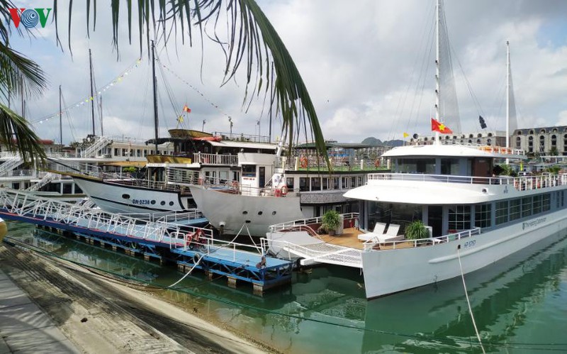 giam 50% gia ve nghi dem tren vinh ha long trong gan 3 thang hinh 1
