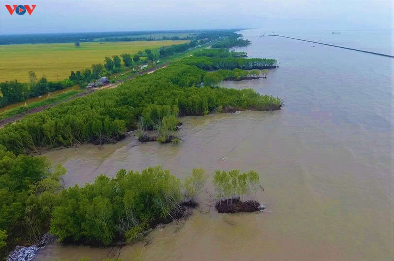 ung pho sat lo dbscl: dung ngoi khong yen canh sat lo hinh 1
