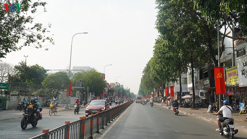 tp.hcm trang hoang co hoa ruc ro mung dang, mung xuan hinh 1