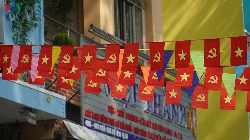 tp.hcm trang hoang co hoa ruc ro mung dang, mung xuan hinh 5