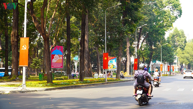 tp.hcm trang hoang co hoa ruc ro mung dang, mung xuan hinh 8