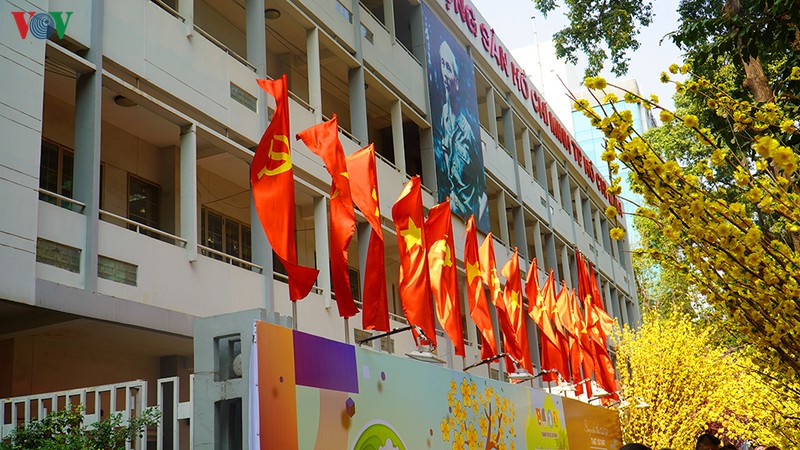 tp.hcm trang hoang co hoa ruc ro mung dang, mung xuan hinh 9