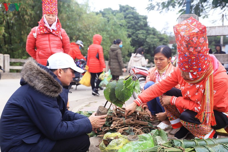 xuan doan ket noi bien cuong binh lieu hinh 12