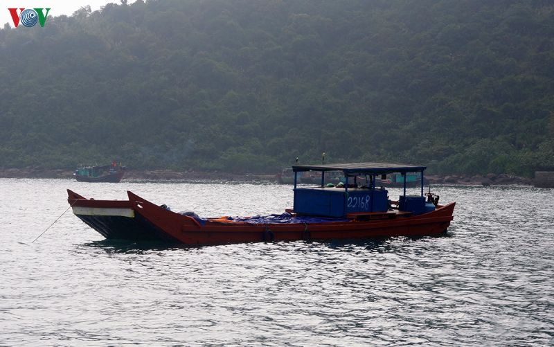 bat giu be cho 12 tan sua bien xuat lau sang trung quoc hinh 1