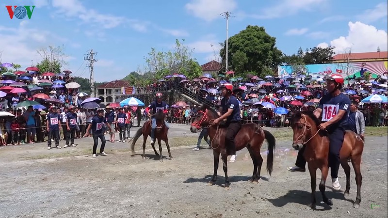 khoi tranh giai dua ngua truyen thong bac ha hinh 1