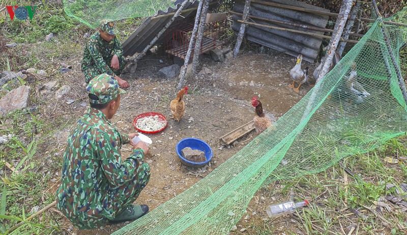 chong nhap canh trai phep, linh bien phong tiep tuc ngu rung, bam nui hinh 5