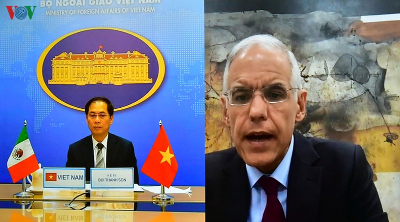 thu truong viet nam-mexico hoi dam truc tuyen nhieu van de quan trong hinh 1