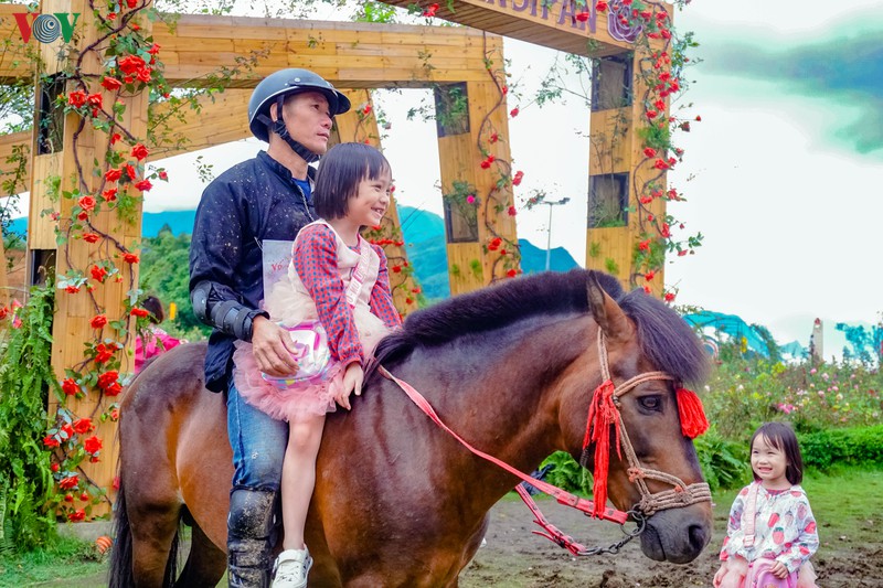 "vo ngua tren may"- giai dua ngua doc dao tren mai nha dong duong hinh 13