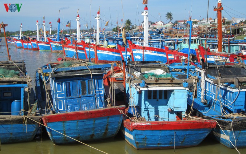 thiet bi giam sat hanh trinh, lam kho ngu dan quang ngai  hinh 1