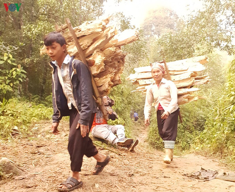 ngam hoang hon noi ky quan san hinh 15