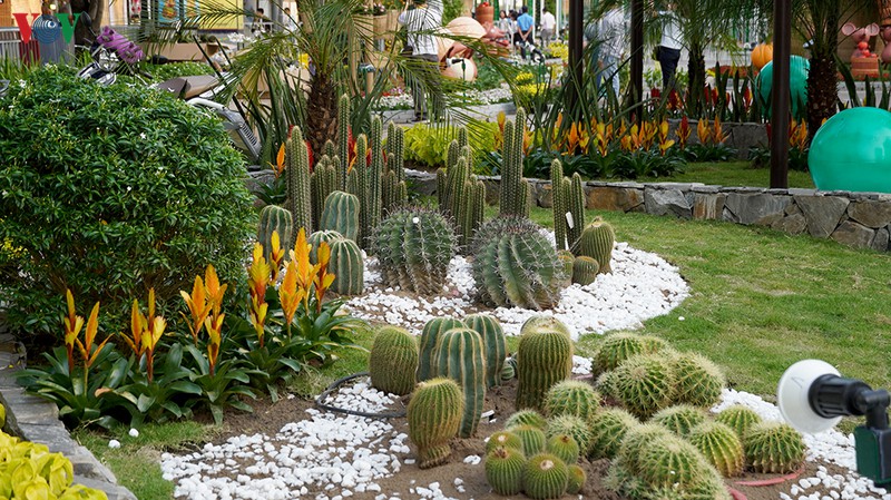 anh: duong hoa nguyen hue ruc ro truoc gio khai mac hinh 6