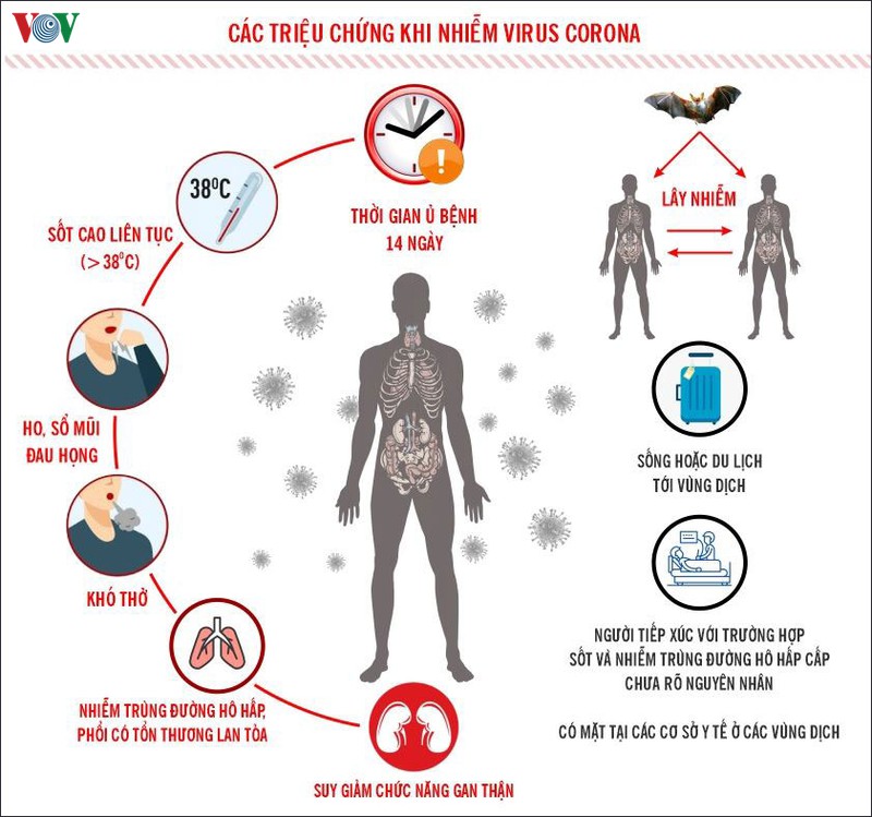 2 benh nhan cach ly tai benh vien e am tinh voi virus corona hinh 2