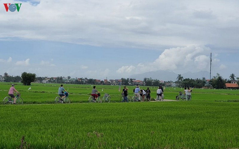 quang nam tim san pham du lich moi de thu hut du khach tro lai hinh 2