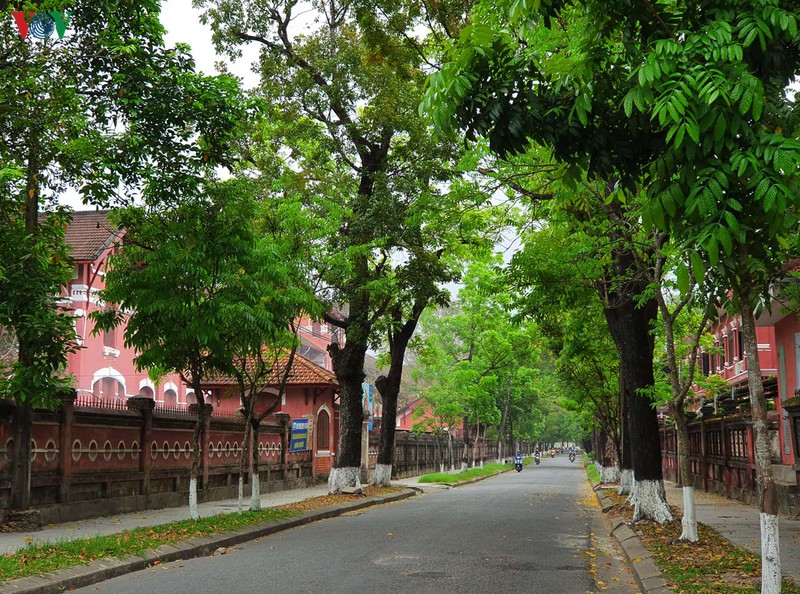 anh: hue trong ngay dau nghiem chinh thuc hien cach ly xa hoi hinh 10