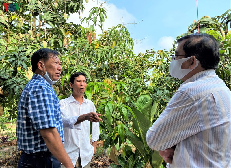 cho moi-vung dat giai phong sau cung cua an giang vuon minh phat trien hinh 4