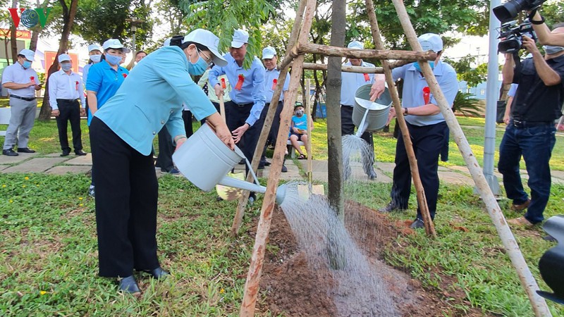 tphcm phat dong "tet trong cay doi doi nho on bac ho" hinh 1