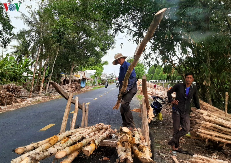 anh: "cho tram" noi dat rung u minh ha hinh 5