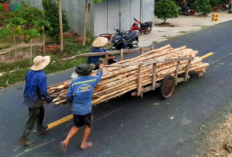 anh: "cho tram" noi dat rung u minh ha hinh 6