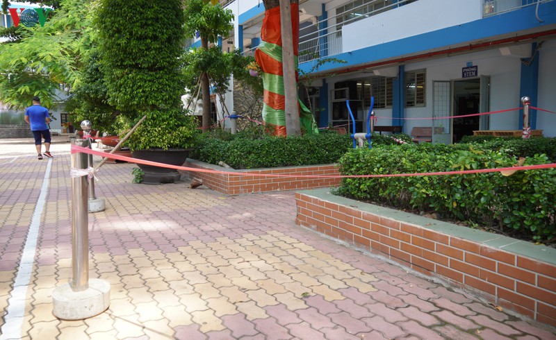 chat ha cay phuong dong loat la cuc doan hinh 4