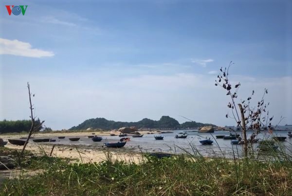 hoi sinh vung bien chet sa can hinh 3