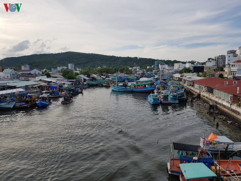 kien giang uu tien tang truong kinh te, "bo quen" bao ve moi truong? hinh 2