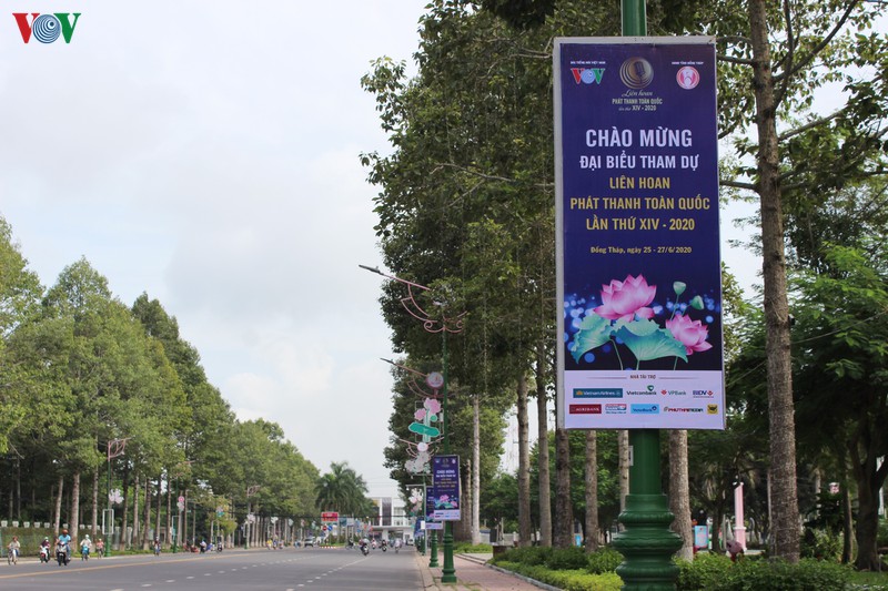 dat sen hong dong thap san sang cho lien hoan phat thanh toan quoc  hinh 1