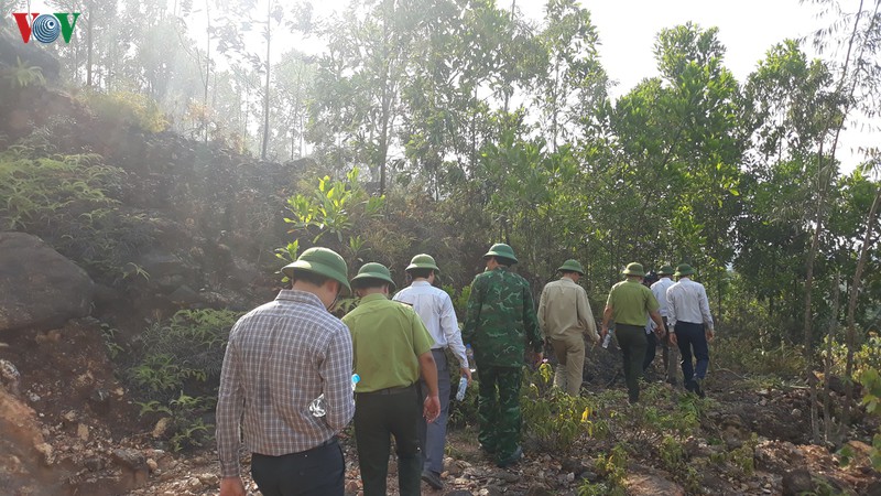 chay rung ha tinh: lua lon, luc luong mong hinh 2