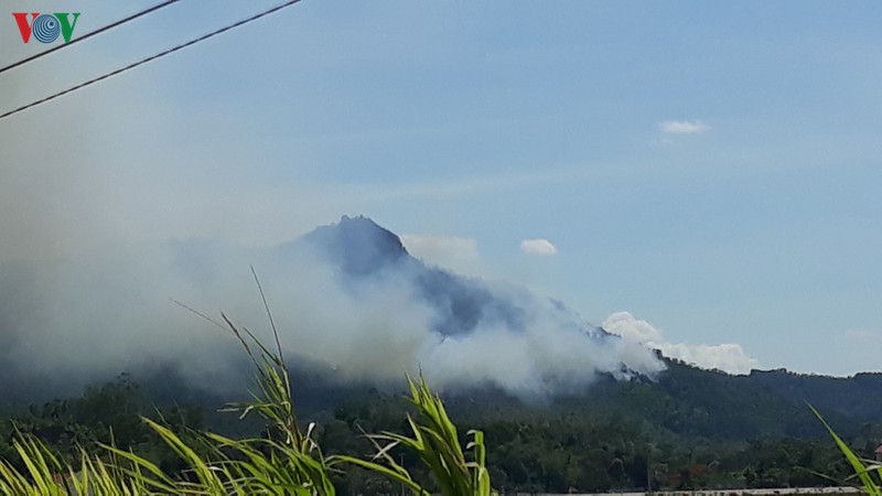 chay rung ha tinh: lua lon, luc luong mong hinh 1