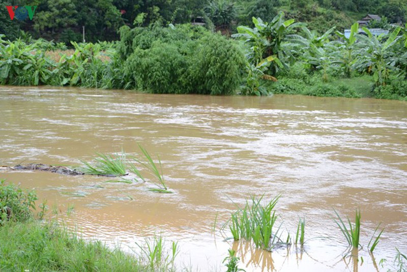 nuoc da co ban rut het, lao cai khong con ngap ung  hinh 1