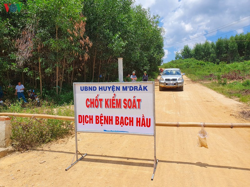 dak lak phat hien them hai truong hop mac benh bach hau hinh 2