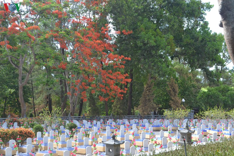 thang 7 tri an noi dat lua quang tri hinh 2