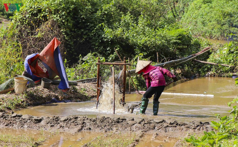 tai dien nan khai thac cat trai phep: tieng may bom bua vay buon lang hinh 4
