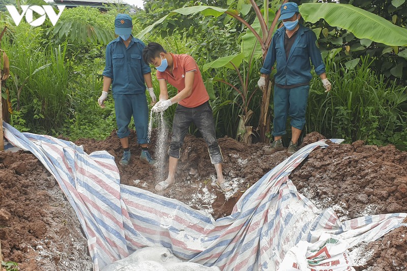 mat trang ca dan lon vi dich ta lon chau phi quay lai hinh 1
