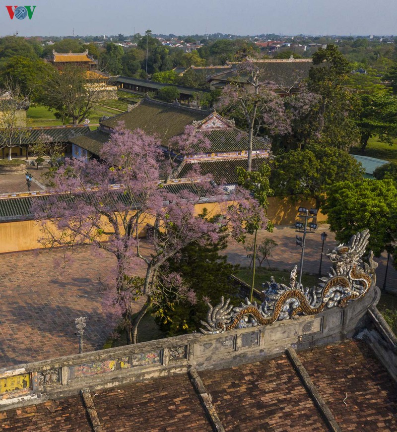 lang le hoa ngo dong thang 3 hinh 4