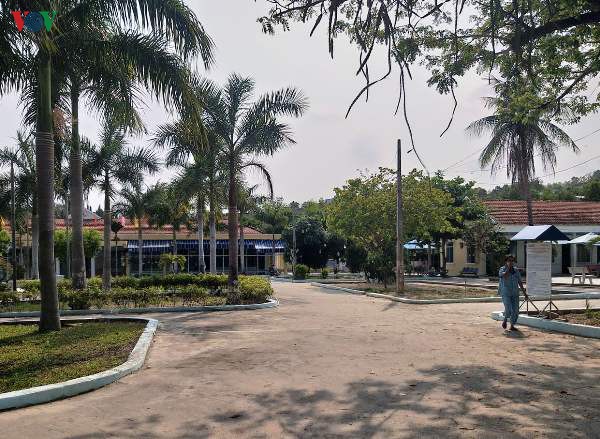 khanh hoa cham soc nguoi lang thang tranh nguy co lay lan dich benh  hinh 3