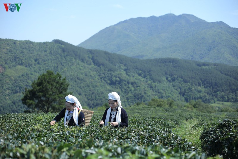 cao bang no luc phuc hoi nganh du lich sau dai dich covid-19 hinh 1