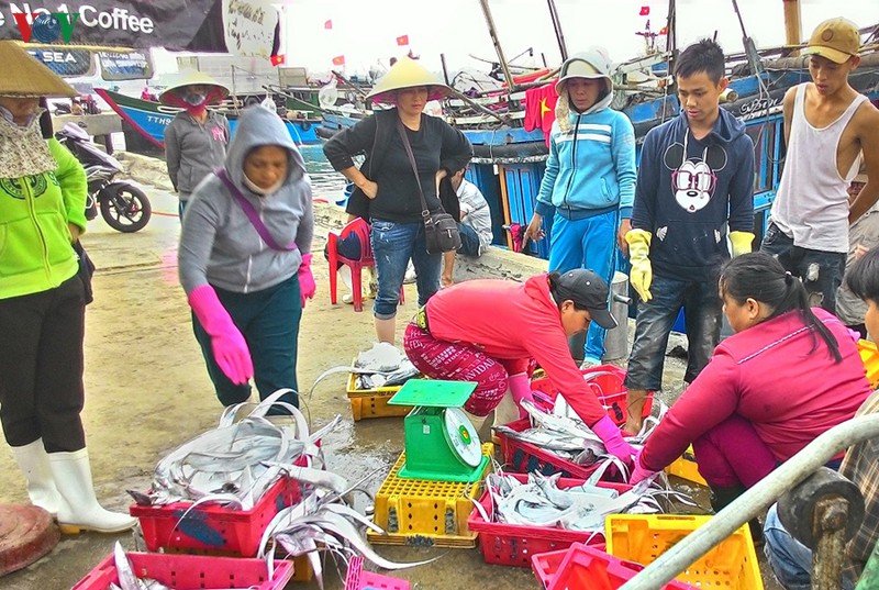 thua thien hue ho tro gan 40 ty dong cho tau danh bat xa bo hinh 1