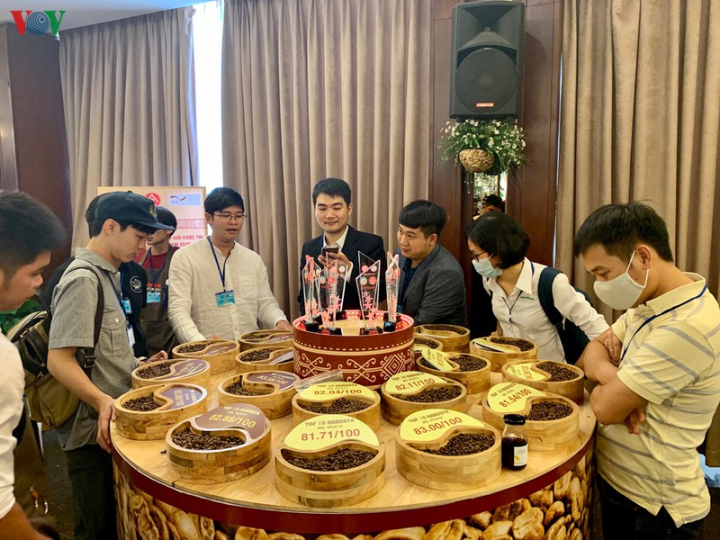 nang tam gia tri ca phe tu cuoc thi ca phe dac san hinh 1