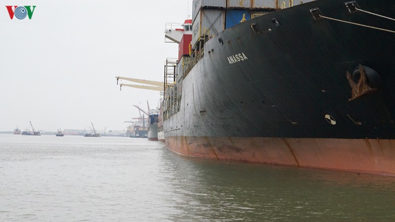 cảng biển hải phòng duy trì hoạt động trong mùa dịch covid-19 hình 11 cang bien hai phong duy tri hoat dong trong mua dich covid-19 hinh 11
