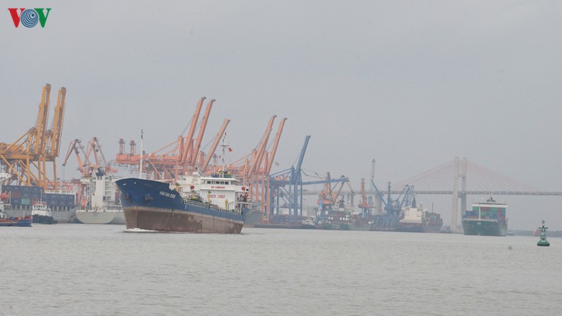 cảng biển hải phòng duy trì hoạt động trong mùa dịch covid-19 hình 3 cang bien hai phong duy tri hoat dong trong mua dich covid-19 hinh 3