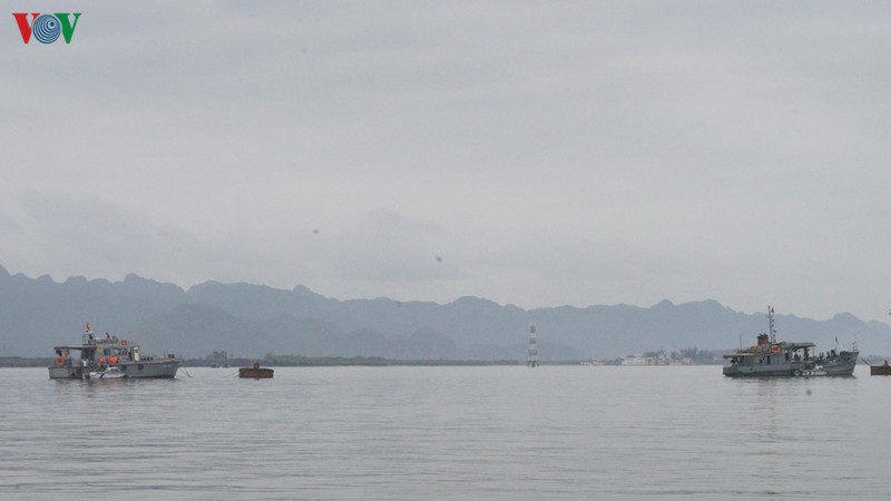 cảng biển hải phòng duy trì hoạt động trong mùa dịch covid-19 hình 7 cang bien hai phong duy tri hoat dong trong mua dich covid-19 hinh 7