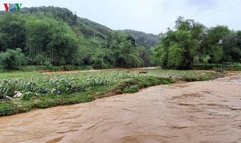 yen bai thiet hai 8,5 ty dong do mua loc  hinh 2