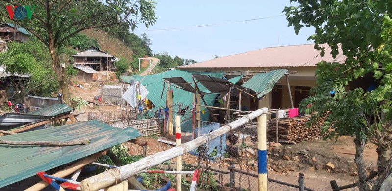 loc xoay kinh hoang tan pha nhieu ban lang o huyen bien gioi nghe an hinh 1