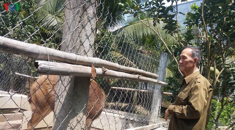 cuu chien binh miet vuon lam giau cho gia dinh va khong quen dong doi hinh 1